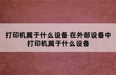 打印机属于什么设备 在外部设备中打印机属于什么设备